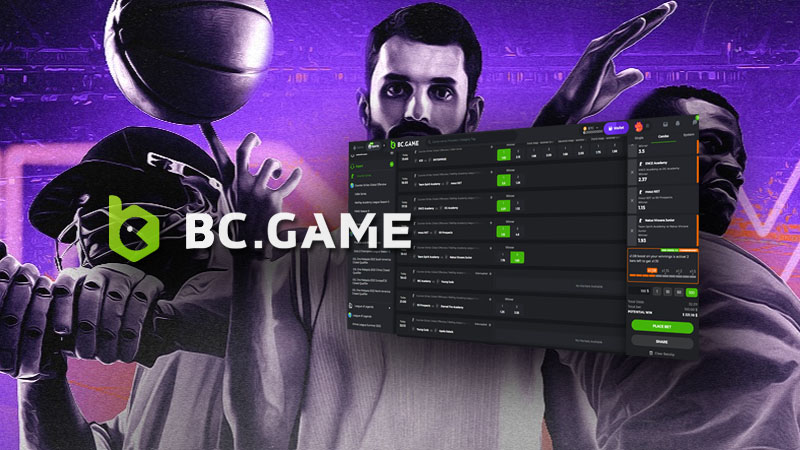 Maximize Your Earnings with BC.Game DE Partner Program